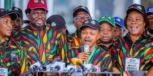 NLC demands power minister’s resignation over grid collapse