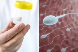 Switzerland Aims To Legalise Egg, Sperm Donations
