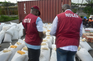States, Institutions Now Mandate Drug Tests For Appointees, Students, Employees - NDLEA