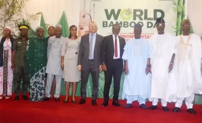 FG begins bamboo factory in Kogi, plans seven more across Nigeria