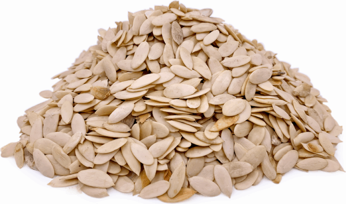 Egusi Makes History as First Nigeria Food Ingredient Launched into Space