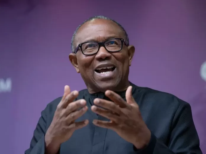 image-145-1024x768 Peter Obi Declares 2027 Ambition, Says He Can Transform Nigeria in Four Years
