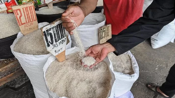 Indonesia to introduce single rice price policy in 2026
